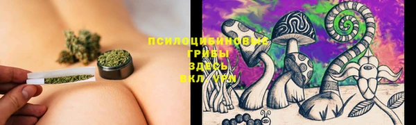 СК Арсеньев
