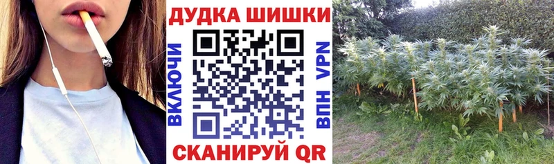 Конопля SATIVA & INDICA  Таруса 